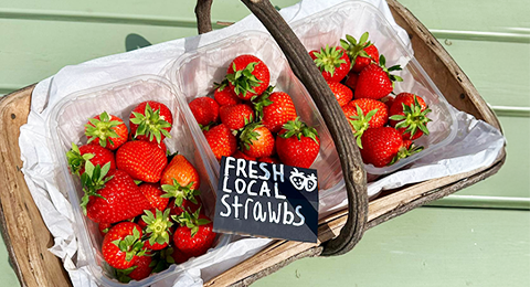 Fresh Strawberries at Teds Farm Shop