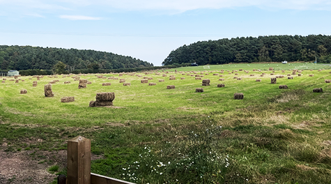 Open Fields at Ted's Farm in Sheriffhales, Shropshire